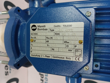 Cargar imagen en el visor de la galería, Bomba Marelli 4CV GMVN 400T Bomba Centrífuga Multicelular Vertical