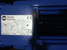 Cargar imagen en el visor de la galería, Bomba Marelli 15CV AQI 50x32x250B Bomba Monobloc Normalizada para Servicios Generales