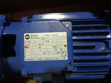 Cargar imagen en el visor de la galería, Bomba Marelli 5,5CV AQI-65X50X125A Bomba Monobloc Normalizada para Servicios Generales