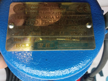 Cargar imagen en el visor de la galería, Bomba Marelli 1CV FEC F-100mA Bomba Sumergible para Aguas Residuales