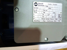 Cargar imagen en el visor de la galería, Bomba Marelli 2,5CV GMHN 250M Bomba Centrífuga Multicelular Horizontal