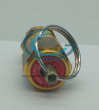 Cargar imagen en el visor de la galería, Válvula de seguridad de 1/4" a 8 bar