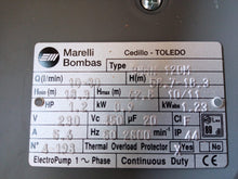 Cargar imagen en el visor de la galería, Bomba Marelli 1,2CV GMHN 120M Bomba Centrífuga Multicelular Horizontal
